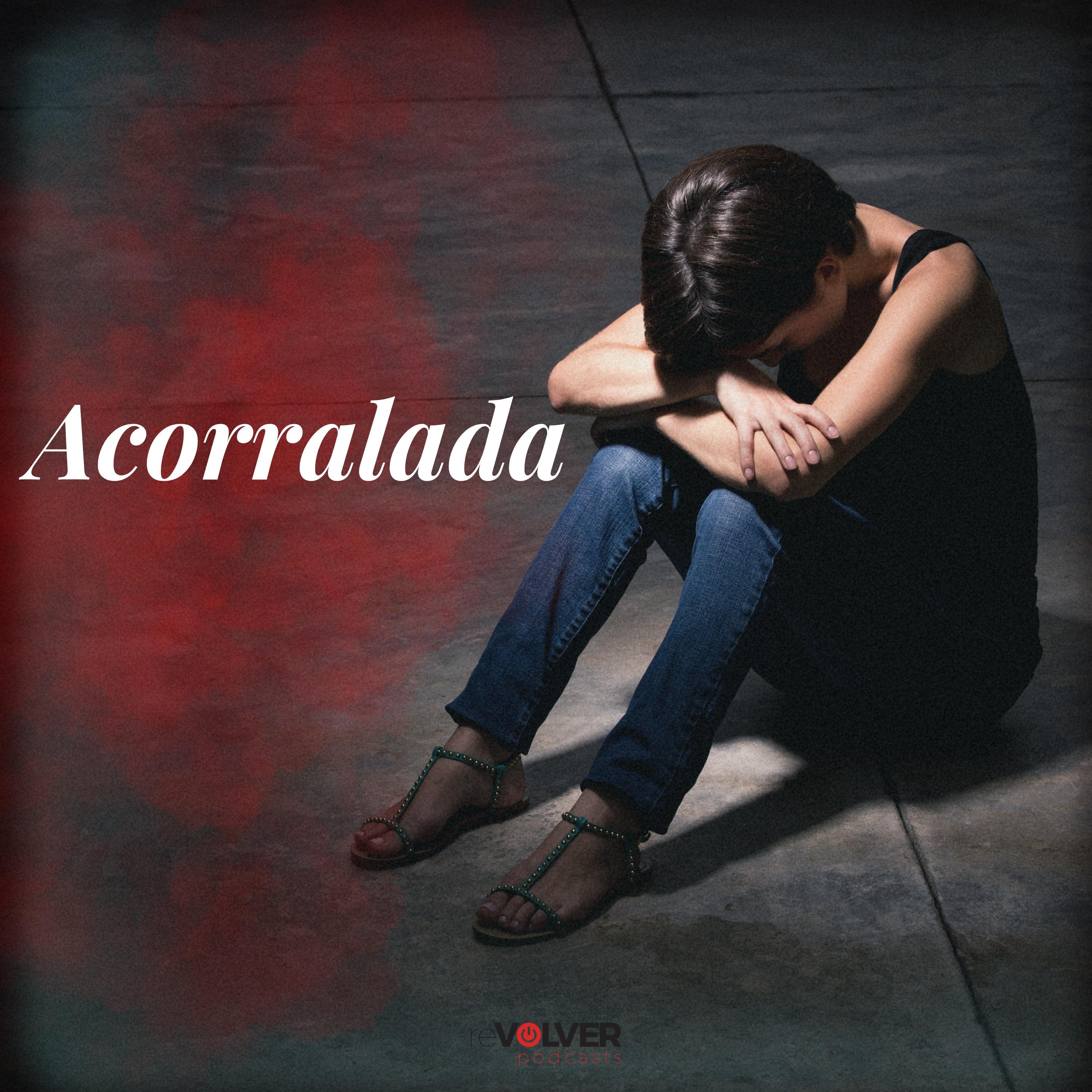 Show poster of Acorralada