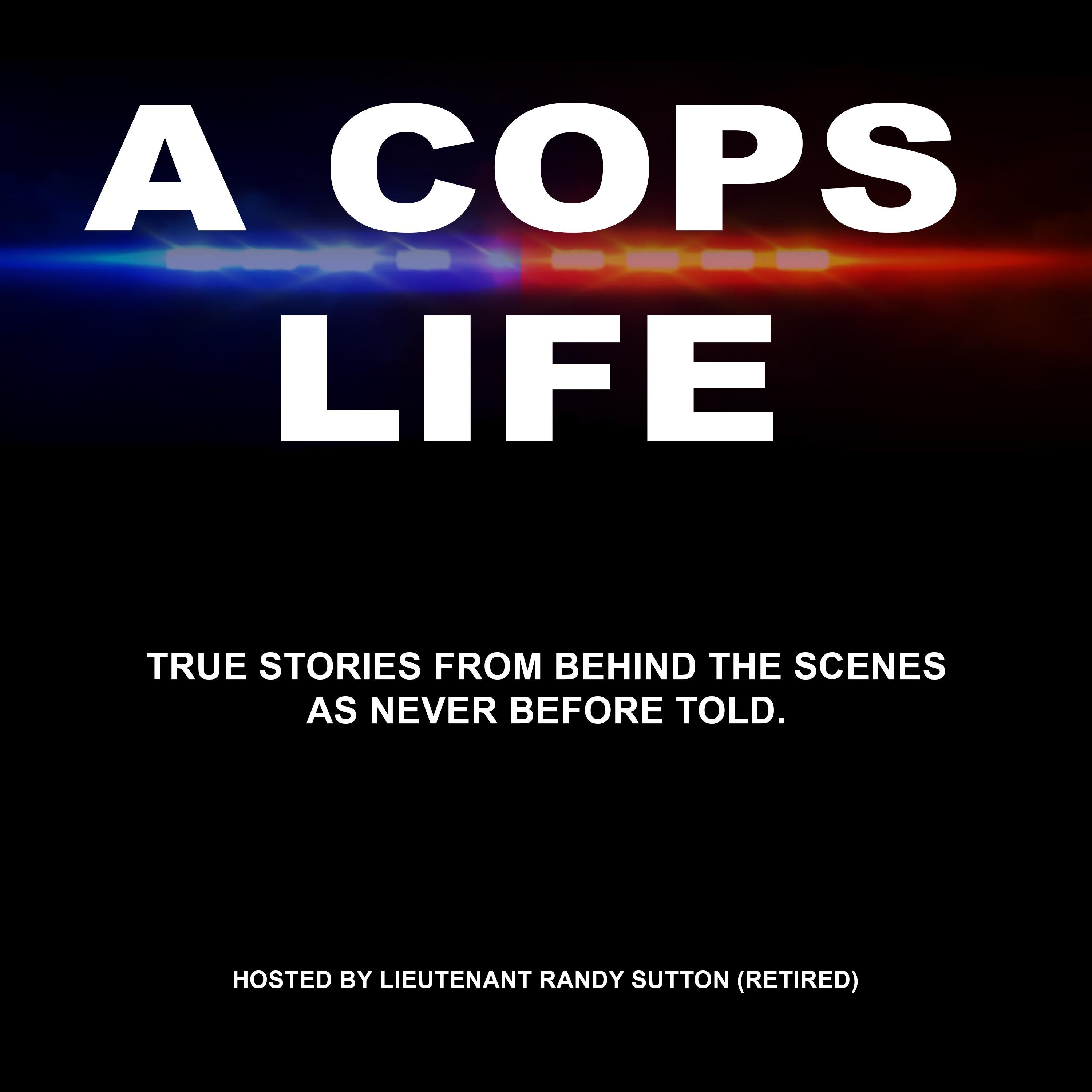 Show poster of A Cop's Life