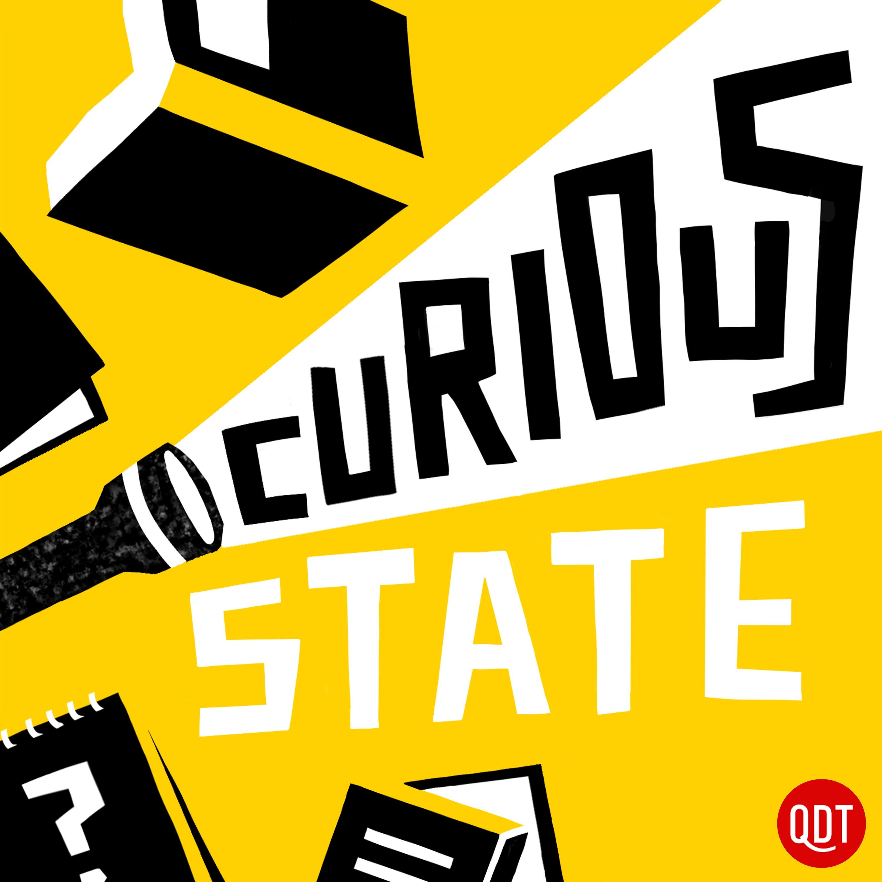 Show poster of Curious State