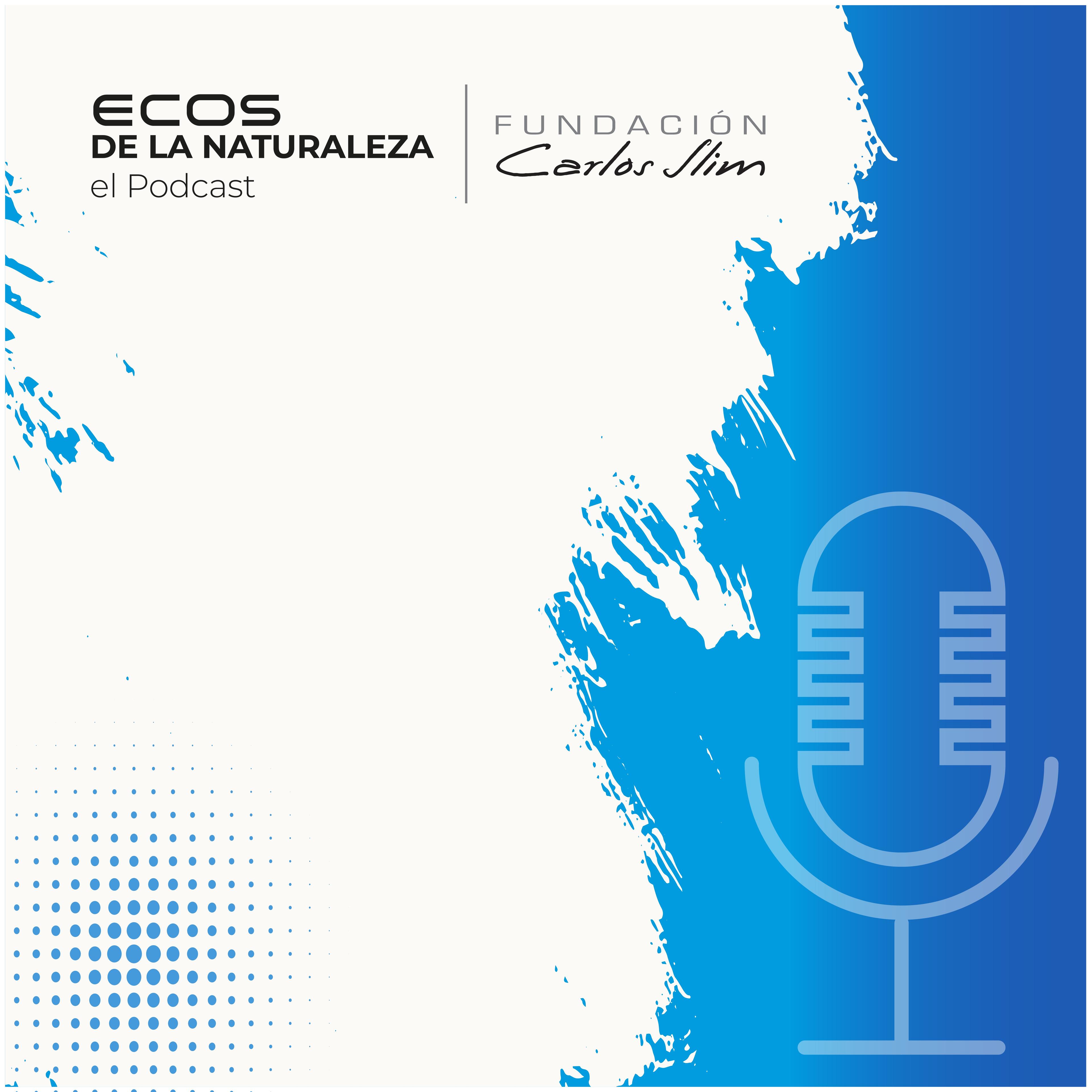 Show poster of Ecos de la Naturaleza